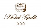 Restyling e Vettorializzazione Logo Hotel Galli