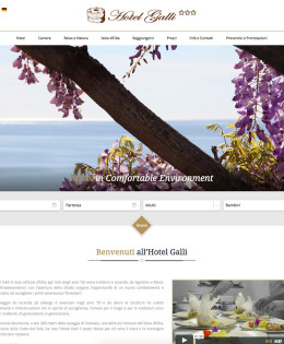 Realizzazione sito Hotel Galli